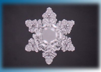 Wasser - Eis - Kristall bei 200 x facher Vergrößerung